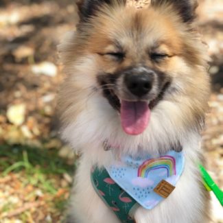 Profile picture of Dakota