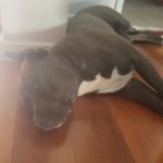 Profile picture of Diesel