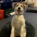 Profile picture of Fluffy