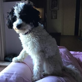 Profile picture of Abby