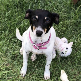 Profile picture of Gem