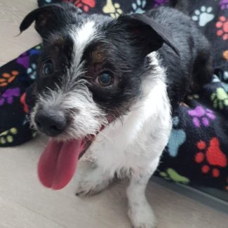 Profile picture of Midge