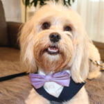 Profile picture of 
