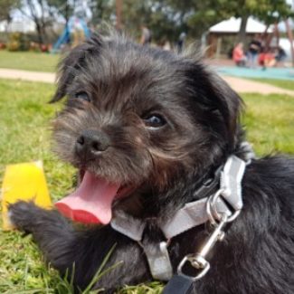 Profile picture of Gertie