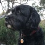 Profile picture of Indy