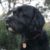 Profile picture of Indy