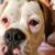 Profile picture of Archie