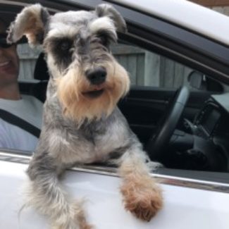 Profile picture of Cassie