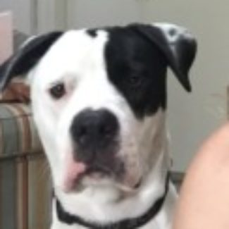 Profile picture of Archie