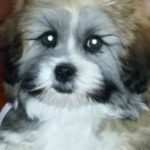 Profile picture of 