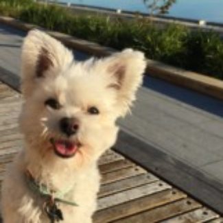 Profile picture of Toby