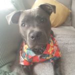 Profile picture of Hugo